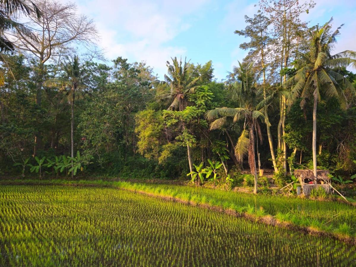 Pondok Diana Yuki Jasri Ngoại thất bức ảnh